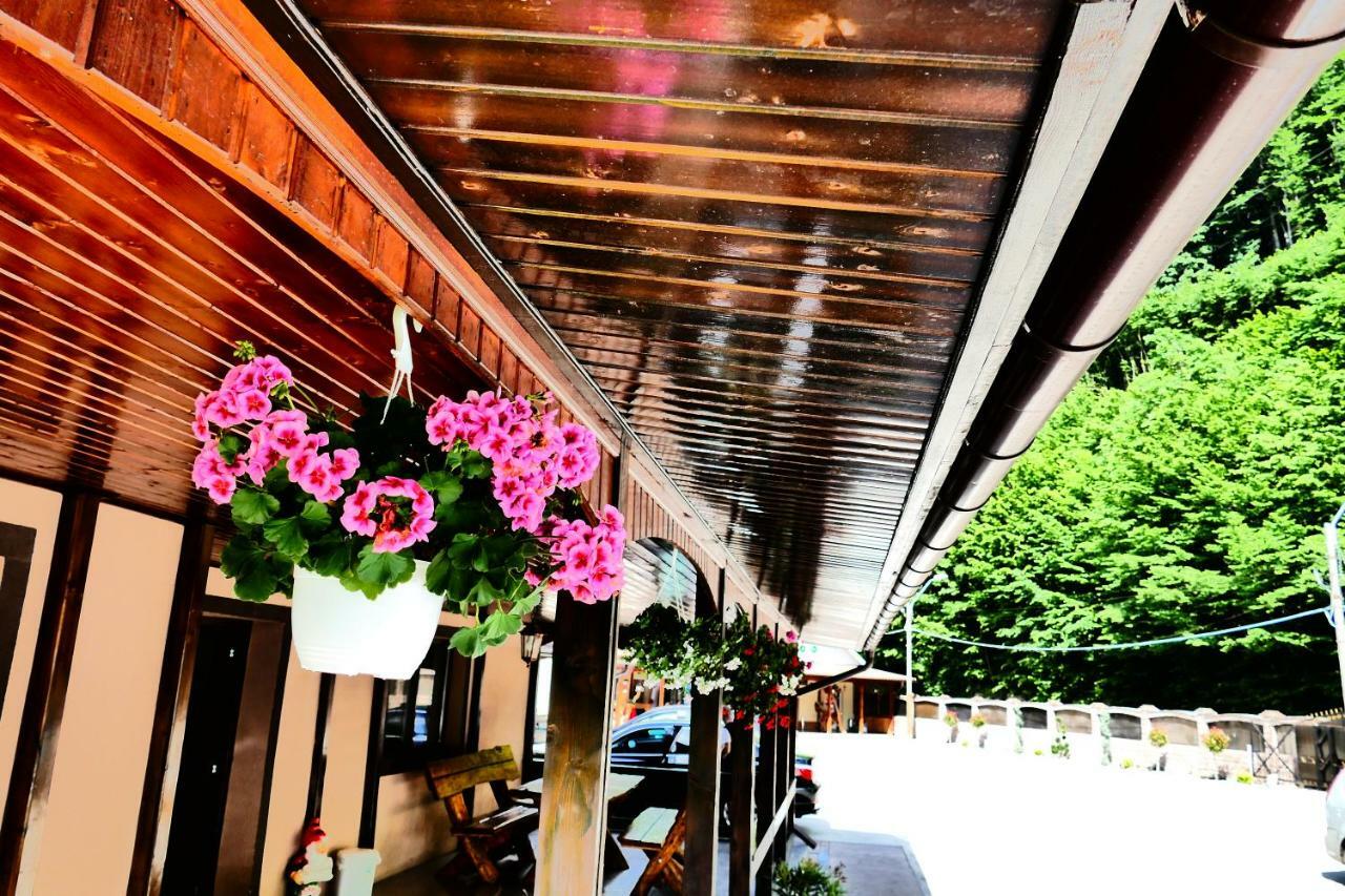 Pensiunea Roua Florilor Hotel อานีนา ภายนอก รูปภาพ